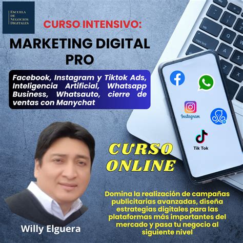 Curso Marketing Digital Pro Asesoría Personalizada Willy Félix