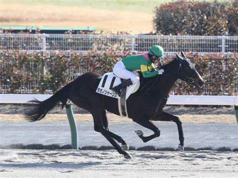 【中京4r新馬戦結果】キタサンブラック産駒のタガノシャ ンスが5馬身差圧勝 ライブドアニュース