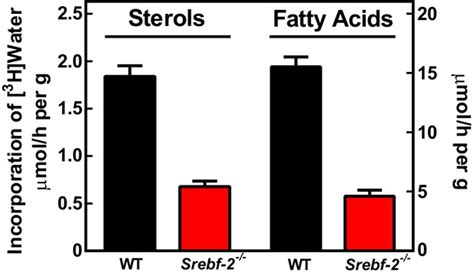 Figures And Data In Expression Of Srebp C Requires Srebp Mediated