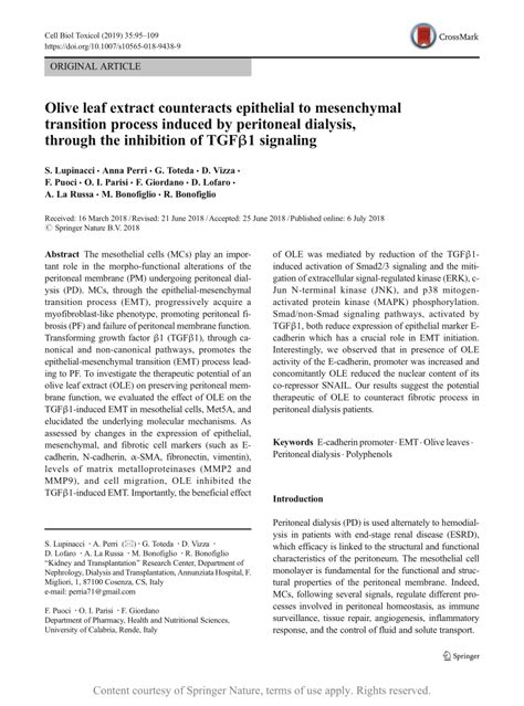 Olive Leaf Extract Counteracts Epithelial To Mesenchymal Transition