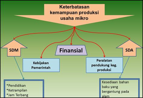 Hal Hal Yang Menjadi Keterbatasan Usaha Mikro Triedey Blog