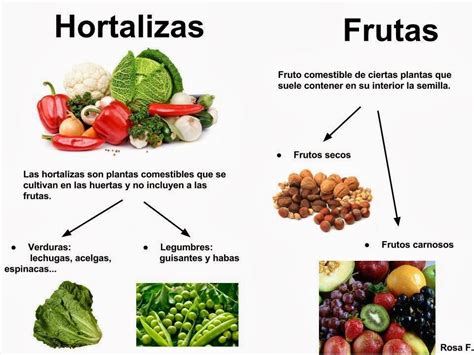 Diferencia Entre Verdura Y Hortaliza Alimentos Alcalinos Alimentos