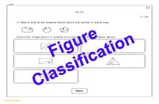 Cat Level C Practice Tests Year