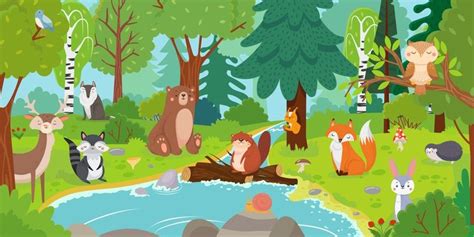 Woodland Forest Habitat Cartoon