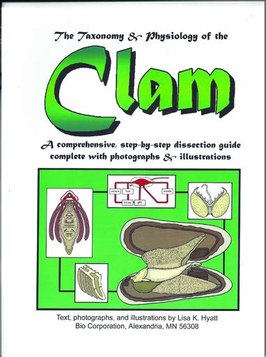 Clam Dissection Reference Guide - Biologyproducts.com