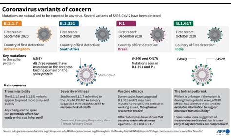 Indian COVID 19 Variant Found In 44 Countries WHO