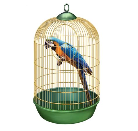 Parrot in a retro cage. Big Blue macaw (Ara ararauna) in bird cage ...