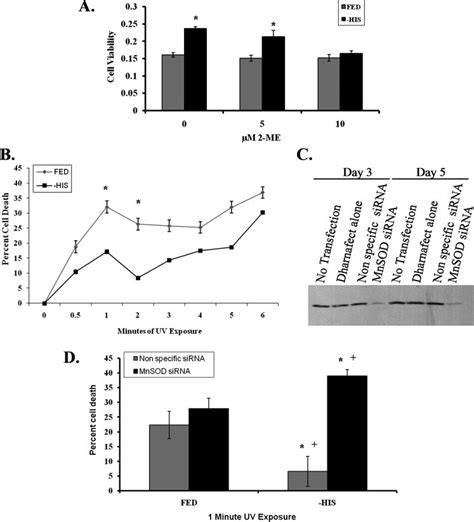 A Bar Graph Representing Cell Viability As Determined By Mtt Assay At