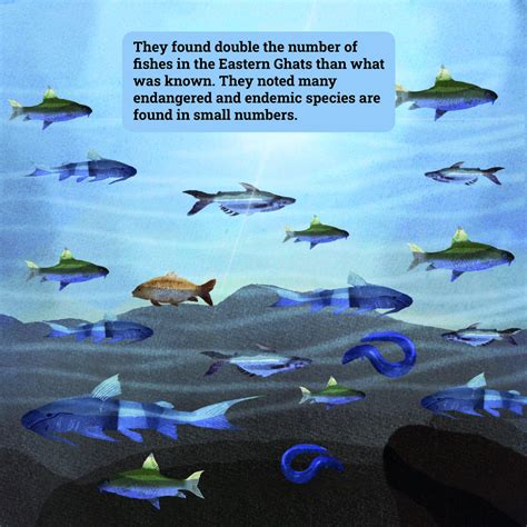 What does a biodiversity hotspot look like? - SciTales