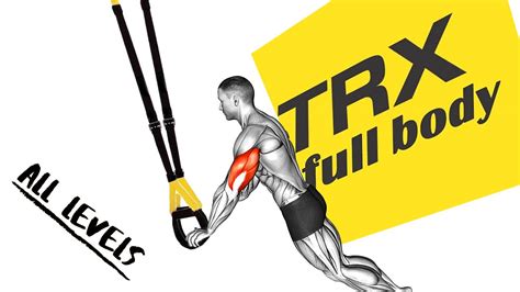 How to Do TRX Full Body Workout - The Weight Loss and Health Body ...