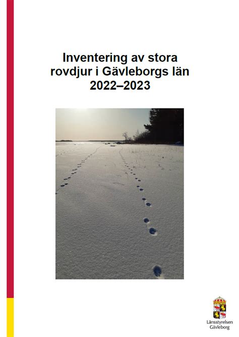 Inventering av stora rovdjur i Gävleborgs län 20222023 Länsstyrelsen