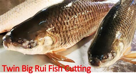 Twins Big Rui Rohu Fish Cutting Chopping By A Expert Fish Cutter YouTube