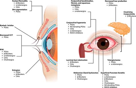 Frontiers Ocular Surface Disease A Known Yet Overlooked Side Effect