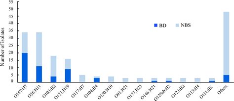 Frontiers Genomic Insights Into Clinical Shiga Toxin Producing