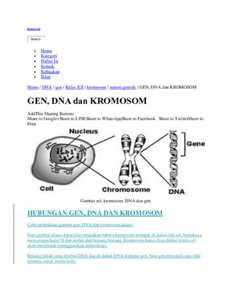 Doc Gen Dna Dan Kromosom Maria Suhartin