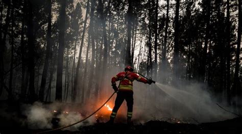 Incendie Au Portugal Le Pays Touché à Son Tour Par Un Important Feu