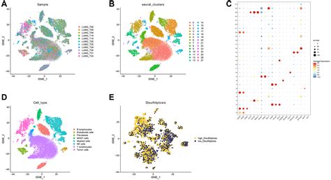 Integrative Analysis Of Single Cell And Bulk Rna Sequencing Data