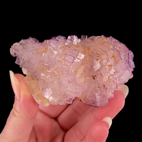 Fluorite On Baryte Tule Mine Melchor M Zquiz M Zquiz Municipality