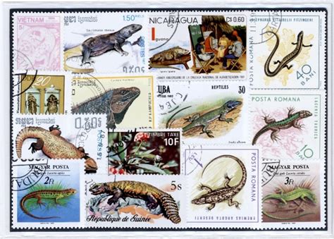 Hagedissen 25 Different Stamps Importa Supplementen Nl