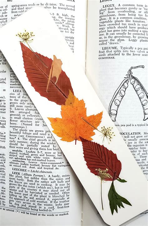 AUTUMN LEAVES BOOKMARK Pressed Fall Foliage Grasses Ferns Etsy