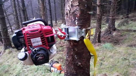 Pcw Portable Forestry Winch Winching Hung Up Trees Using A