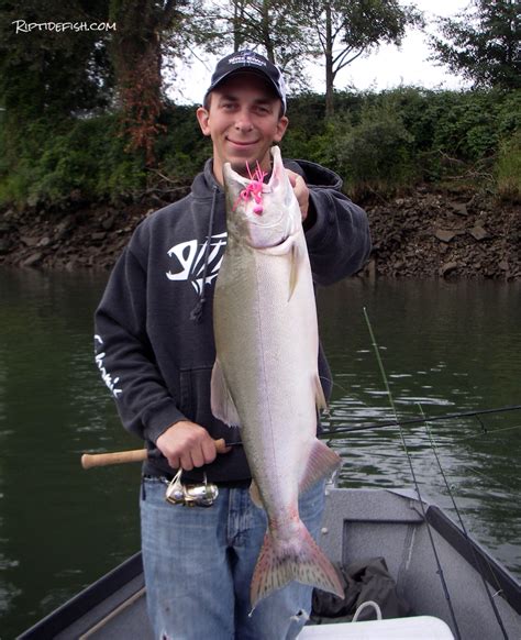 Snohomish River Salmon Fishing