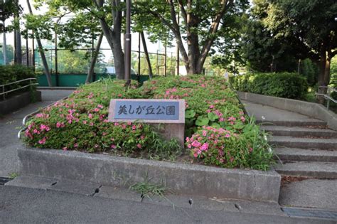 美しが丘公園：たまプラーザの人気公園！駅近で、大型遊具も楽しい！アスレチックが楽しめるログハウスにたくさんの遊具、たっぷり遊べる公園は