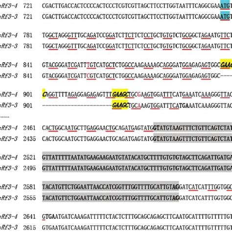 Dna Sequence Alignment Of Part Of Rsrf And Rsrf Alleles With