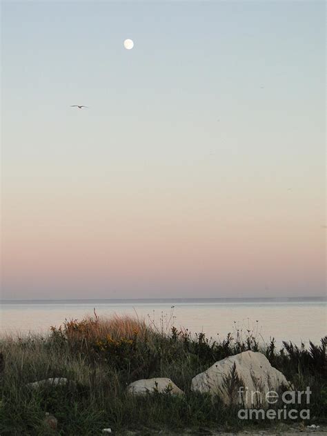 Moonrise At Gooseberry Island Photograph By Corrie Mcdermott Fine Art