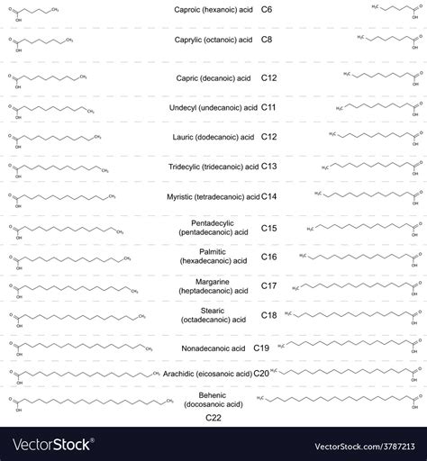 Structural Formulas Main Saturated Fatty Acids Vector Image