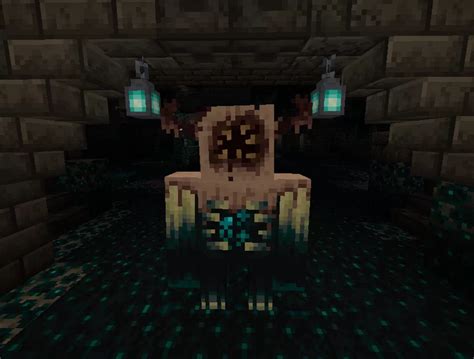 Hollow Head Warden Minecraft Texture Pack