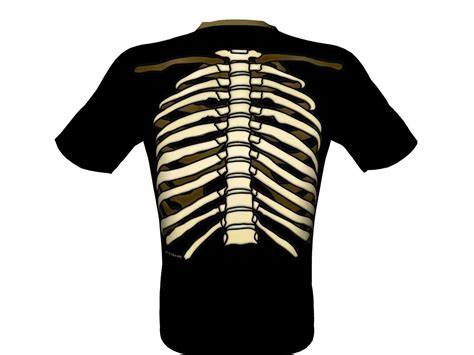 Skeleton Rib Cage - ClipArt Best