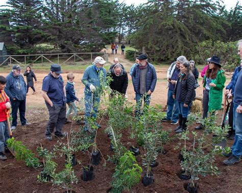 La Segunda de Cinco Plantaciones Demostraciones del Método Miyawaki fue