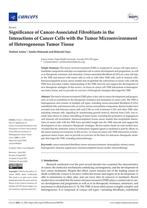 (PDF) Significance of Cancer-Associated Fibroblasts in the Interactions ...