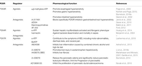 Frontiers Pathophysiological Role Of Purinergic P2x Receptors In