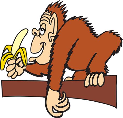 Free Banana Monkey Cliparts Download Free Banana Monkey Cliparts Png