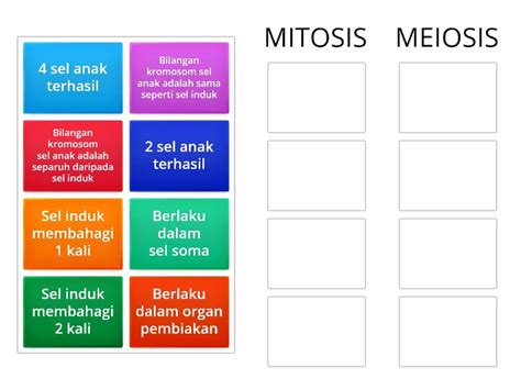 Perbezaan Antara Mitosis Dengan Meiosis Ordenar Por Grupo