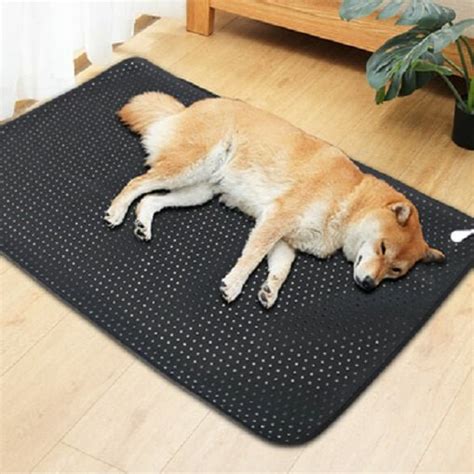 Earthing Pet Mat For Dogs 90x68cm Groundedkiwi Groundedkiwinz