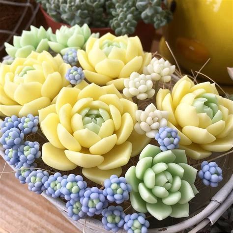 60 Simple Succulent Diy Ideas For You Plants Succulents Diy Succulent Garden Diy