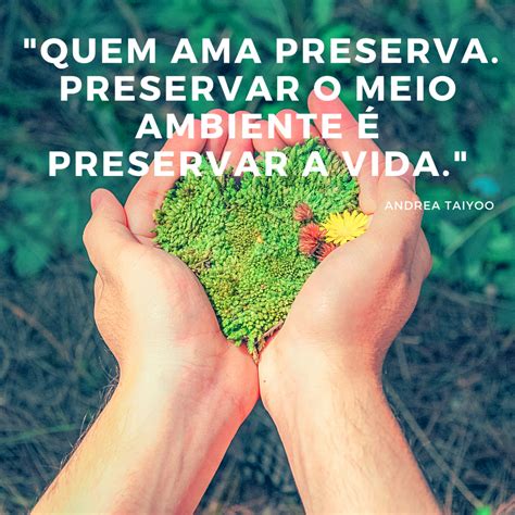 A Importância Da Preservação Ambiental Fdplearn