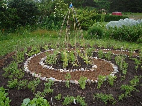 Veggie Garden Edible Garden Potager Bio Potager Garden Farm Gardens