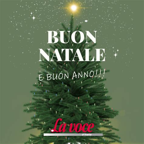 Auguriamo a tuttƏ un Natale sereno ricco di gioia e amore La Voce d