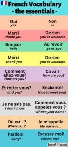 French Vocabulary Essentials FrenchLearner