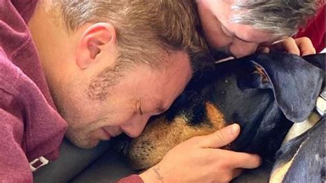 Tiziano Ferro Piange La Morte Del Suo Cane Jake Arrivavi Da Anni Di