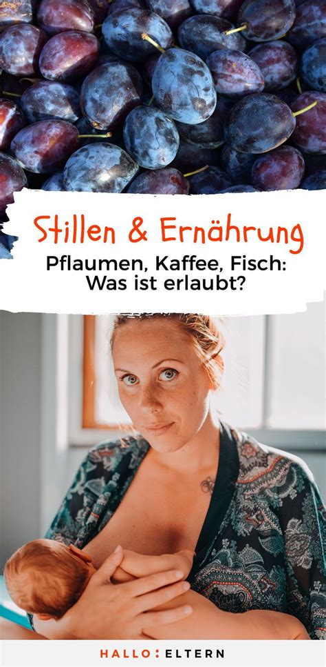 Gesunde Ern Hrung In Der Stillzeit Stillen Ern Hrung Ern Hrung