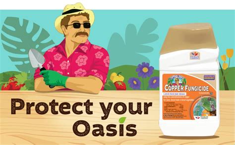 Amazon Bonide Captain Jack Copper Fungicide Oz Concentrated