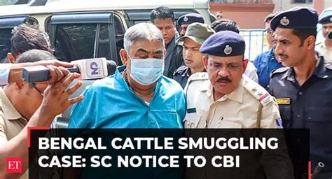 Anubrata Mondal Cattle Smuggling Case Bengal Cattle Smuggling Case Sc