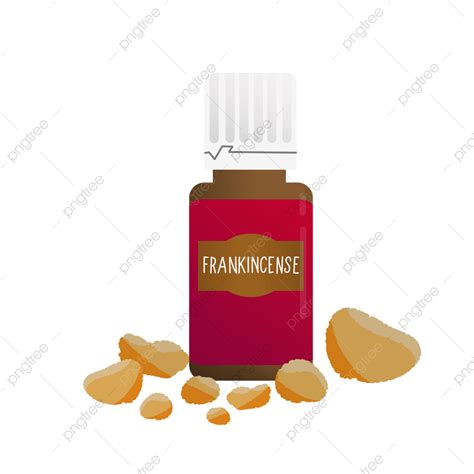 essential oils clipart vector frankincense essential oil illustration frankincense essential