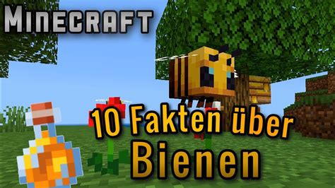 Fakten Ber Bienen Minecraft Youtube