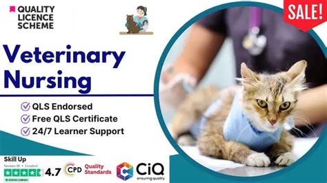 Veterinary Nursing Courses Training Reed Co Uk